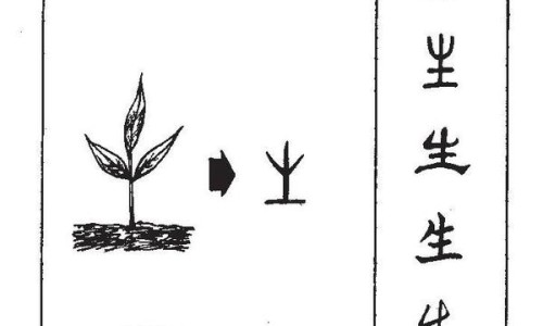 白萝卜的功效与作用10大功效-大白萝卜功效网-分享白萝卜的功效与作用10大功效，大白萝卜功效与禁忌知识库